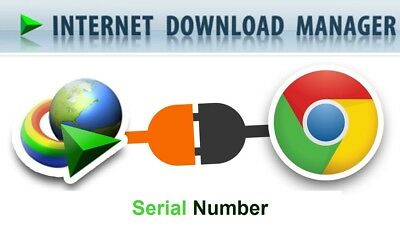 internet download manager module for chrome